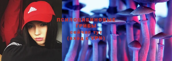 трава Абаза