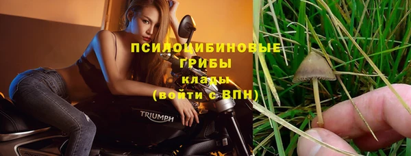 ешки Николаевск-на-Амуре