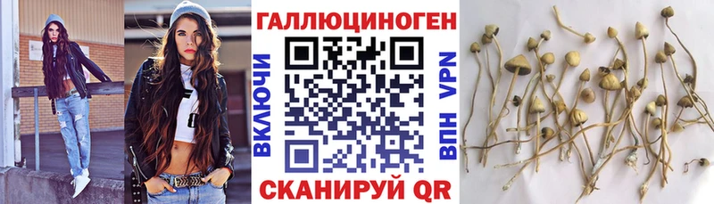 Псилоцибиновые грибы MAGIC MUSHROOMS  купить   Юрюзань 
